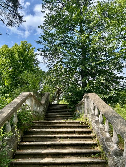 A concrete staircase with weathered, slightly mossy steps leading upward, flanked by stone balustrades with classic baluster detailing, situated outdoors in a natural setting. The stairs are surrounded by lush green foliage from various trees, including a large tree at the top with a thick trunk and broad canopy of bright green leaves, partially blocking the partly cloudy blue sky visible in the background. Shadows from the trees cast dappled light across the steps, creating a serene, overgrown atmosphere. The scene conveys an old, perhaps unused outdoor staircase possibly part of a historical or neglected site, with some small plants and moss growing between the cracks of the steps, subtly illustrating the challenges of access or clearance for rubbish removal services in such environments. The natural surroundings suggest a quiet, secluded area, and the context briefly reflects how private or on-site waste clearance may be necessary in similar outdoor locations, aligning with the scope of independent rubbish collection services.