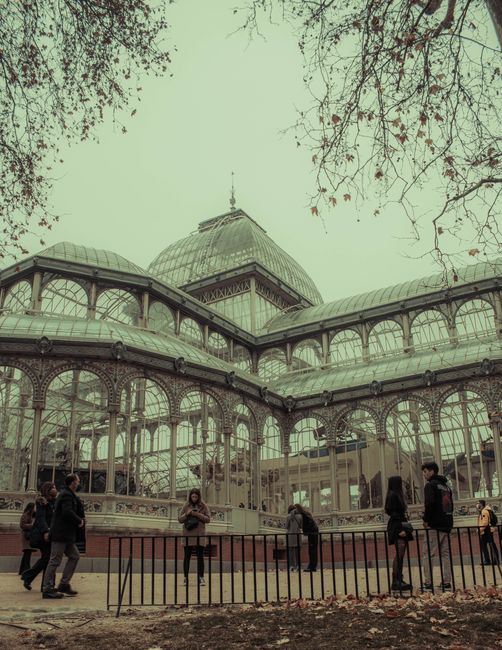 A large Victorian-style glass conservatory with ornate metal framework and curved glass panels, situated outdoors on a paved area. The structure features a central dome topped with a decorative finial and multiple peaked sections extending outward. Surrounding the conservatory, there are leafless trees with bare branches extending into the sky, indicating a late autumn or winter setting. In the foreground, several people are present, some standing, others walking, and one individual appears to be looking at their phone. A black metal railing encloses the area directly in front of the conservatory, separating visitors from the glass structure. The environment is lit with natural daylight, but the sky appears overcast with a muted, slightly greenish tone. The scene suggests a public space where visitors might engage with nearby rubbish removal or maintenance services, as part of site upkeep or conservation efforts, aligning with the theme of outsourced waste handling without explicit promotional content.